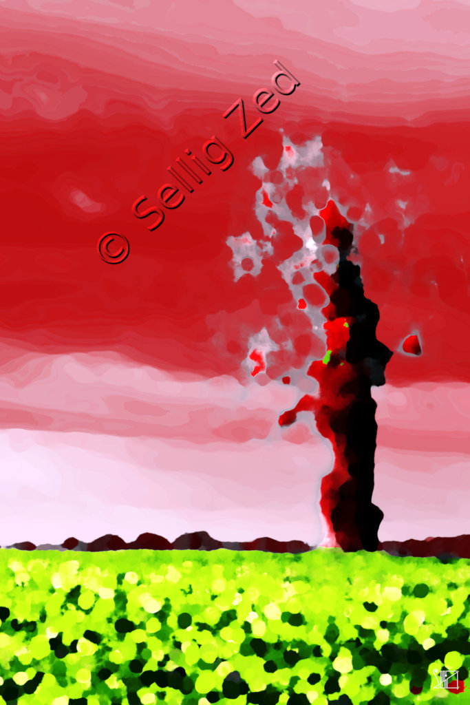 nouvelle image