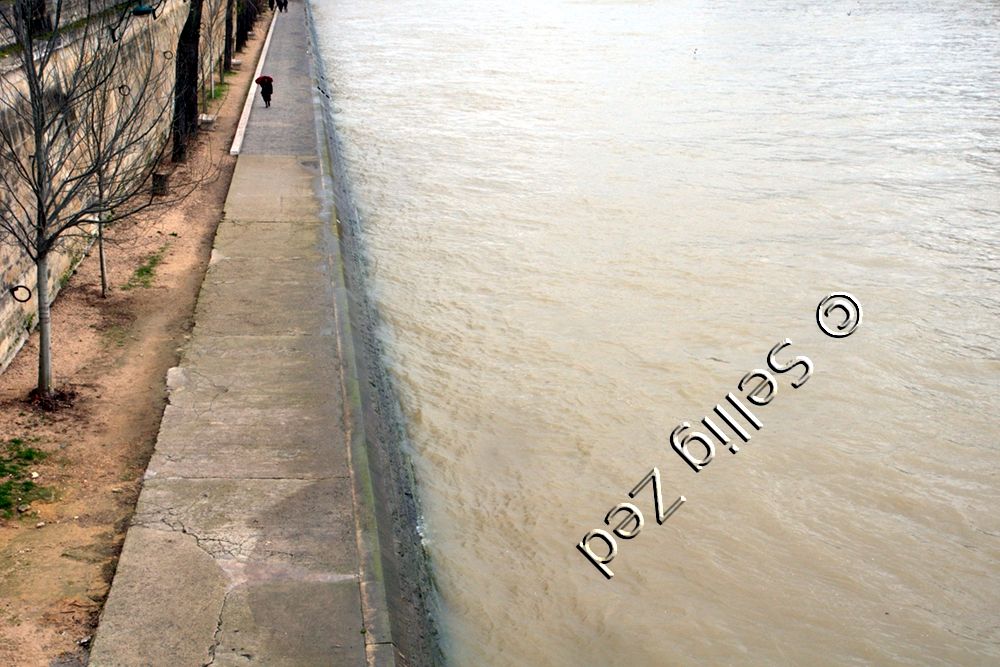 image des quais de Seine par balance du GIMP
