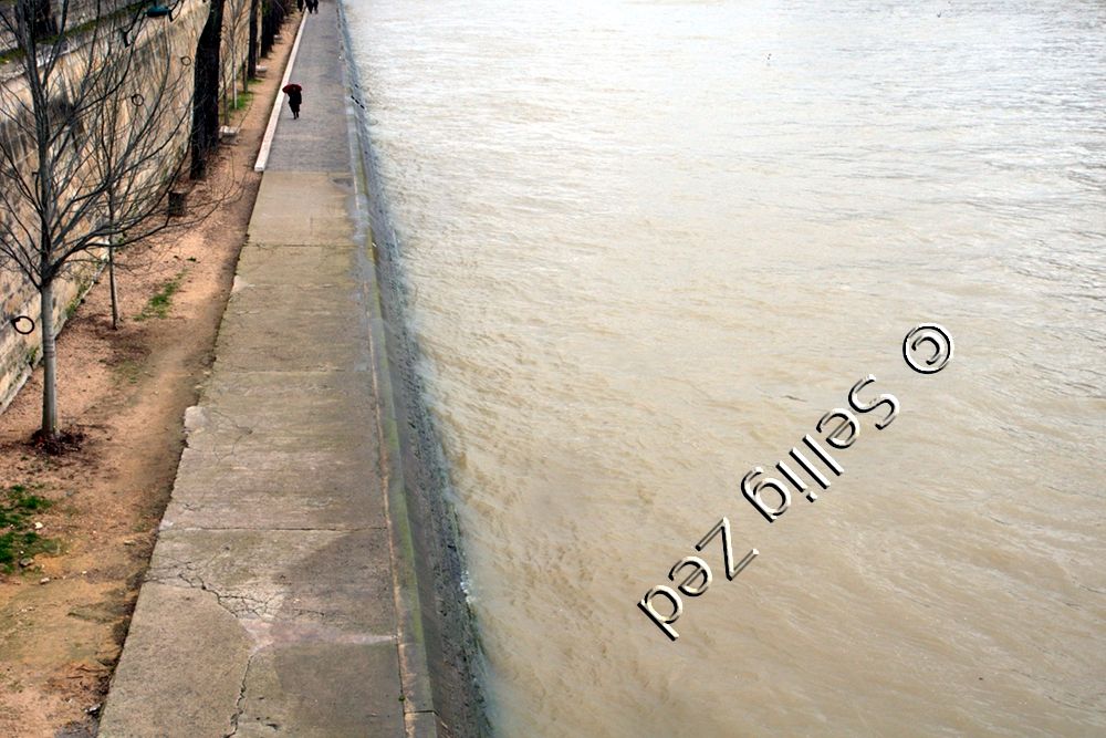 image des quais de Seine par balance du GIMP