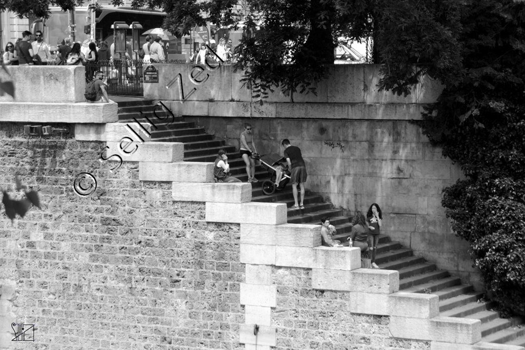 Aux hasards de la promenade