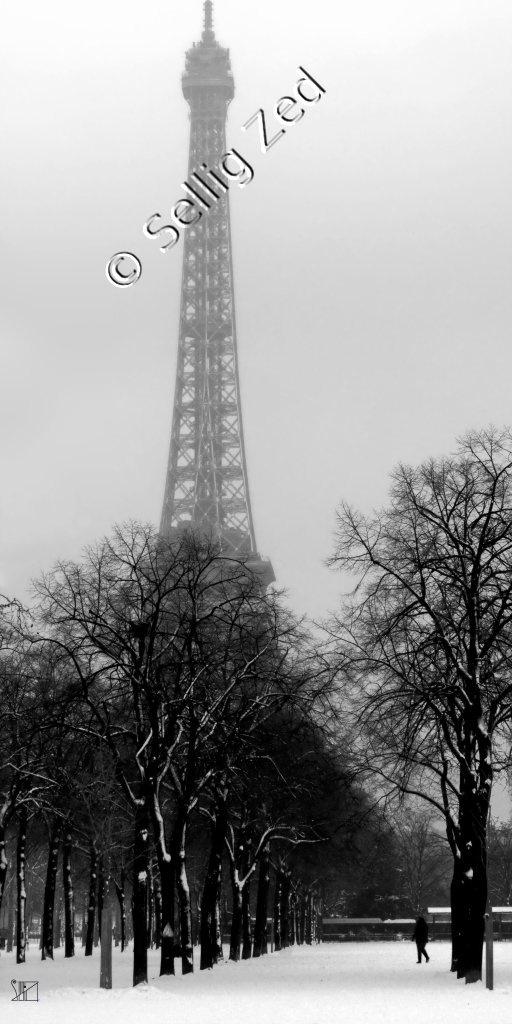 Manteau noir et blanc manteau