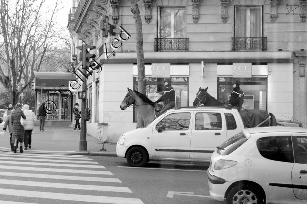 Selon la règle de Léon