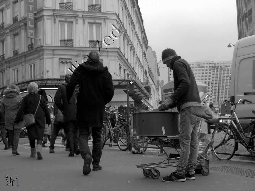 Dans le brouillard de la rue