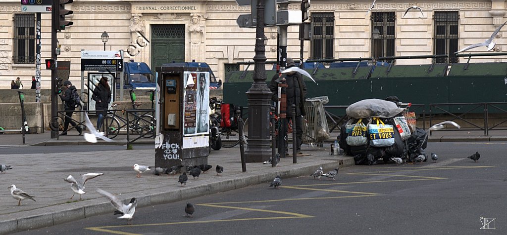 Gare aux maraudeuses