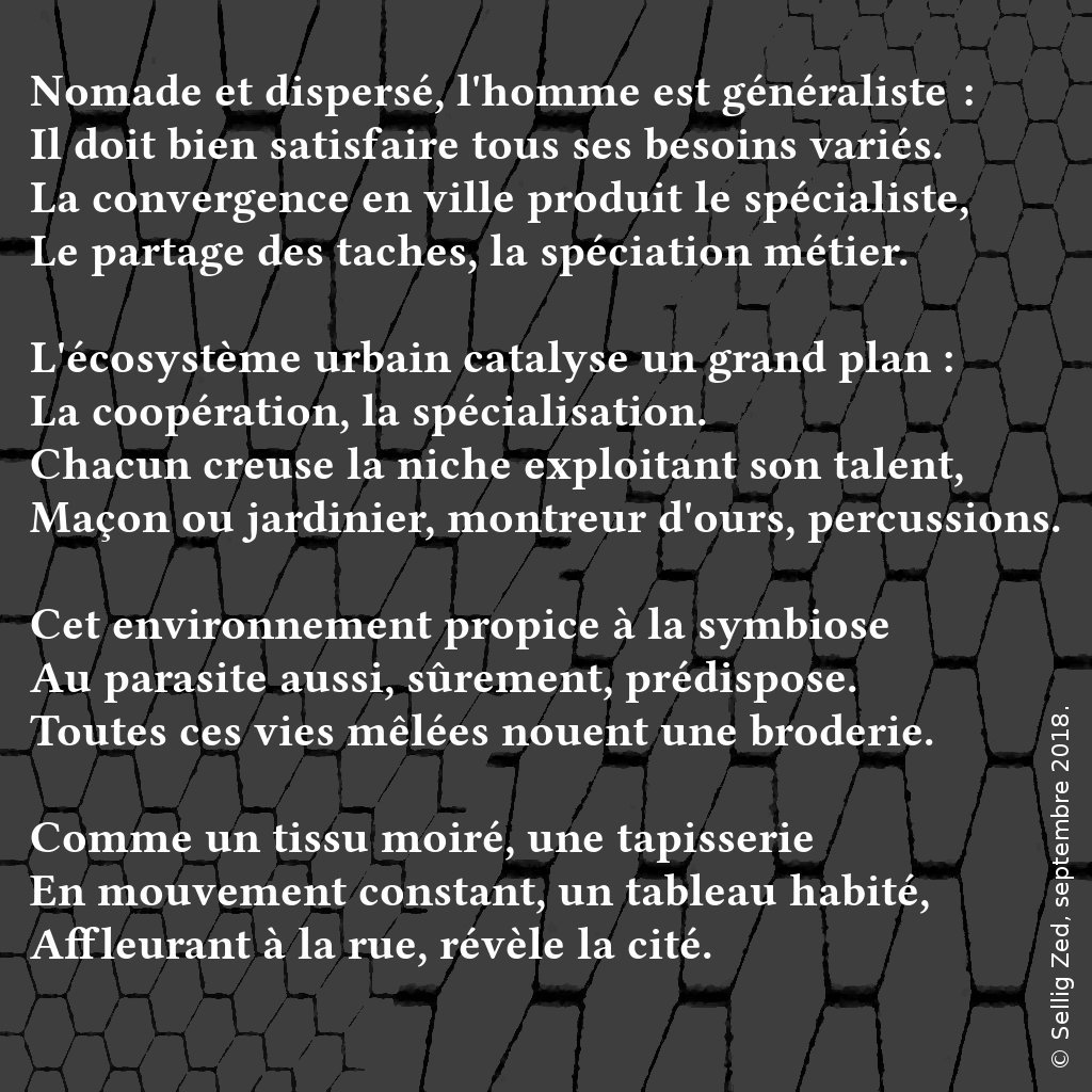 Fil rouge