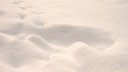 traces dans la neige